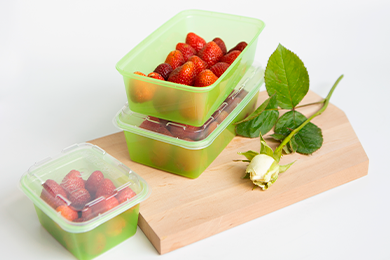 IK  16243000 Контейнер для заморозки Ziр (киви) kiwi_390x260.png